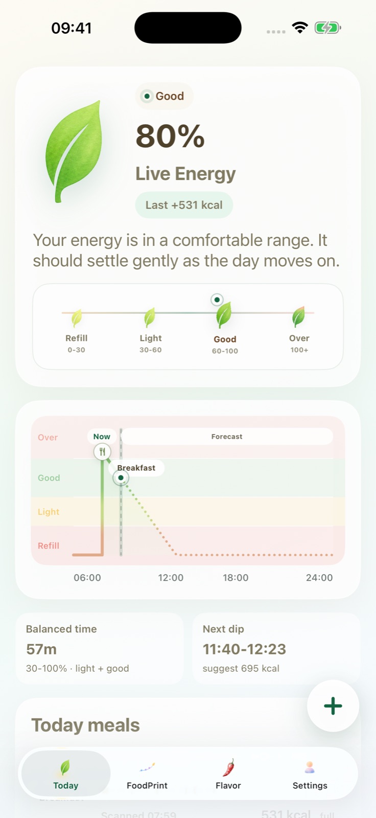 Today screen in the app, with an energy leaf and daily energy chart